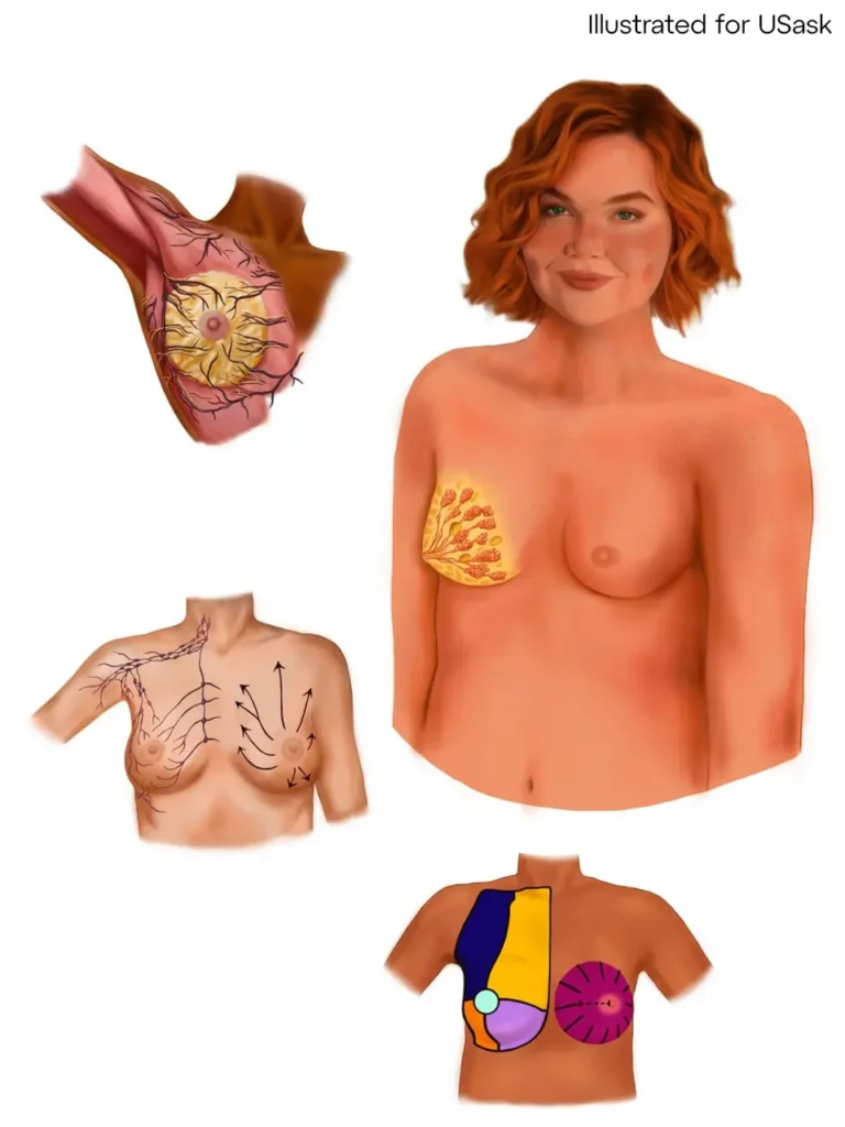 Nooshin Studio Style Medical Illustration